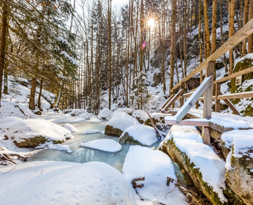 WALDNESS Curhäuser